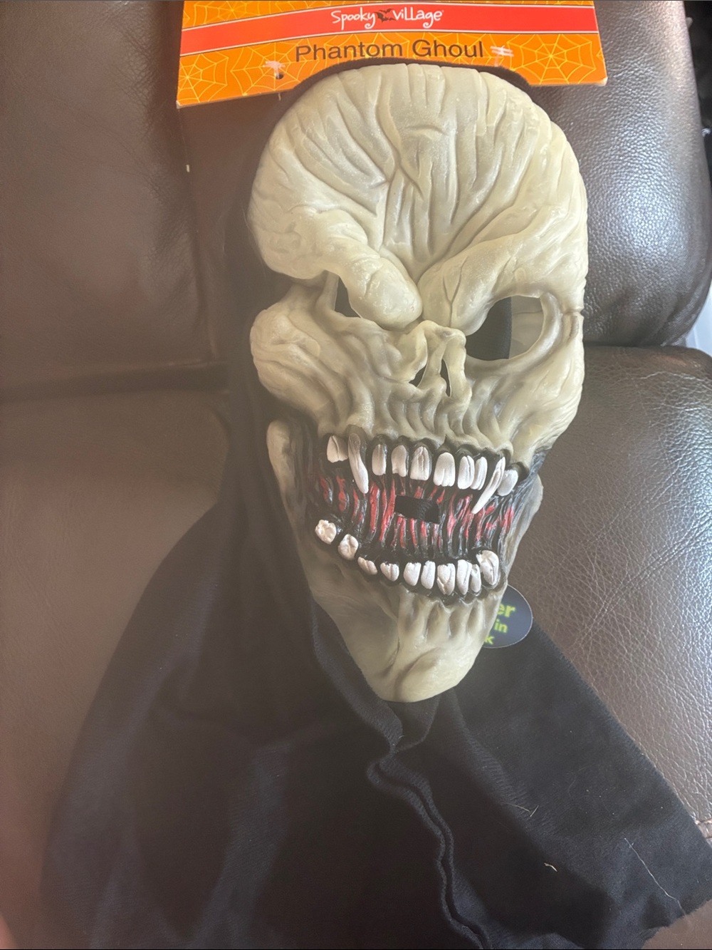 Phantom Ghoul Halloween Mask glow in the dark adult